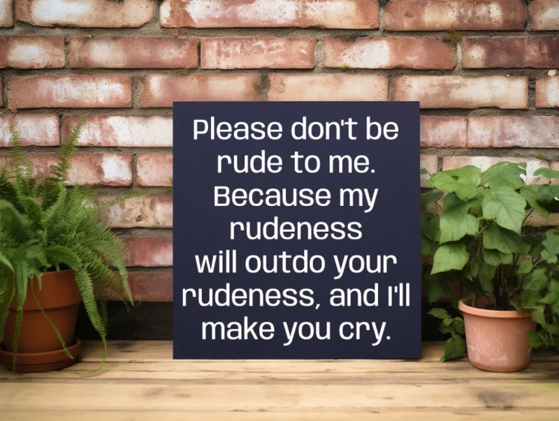 Please don't be rude to me. Because my rudeness will outdo your rudeness, and I'll make you cry. Blue sign with white lettering.