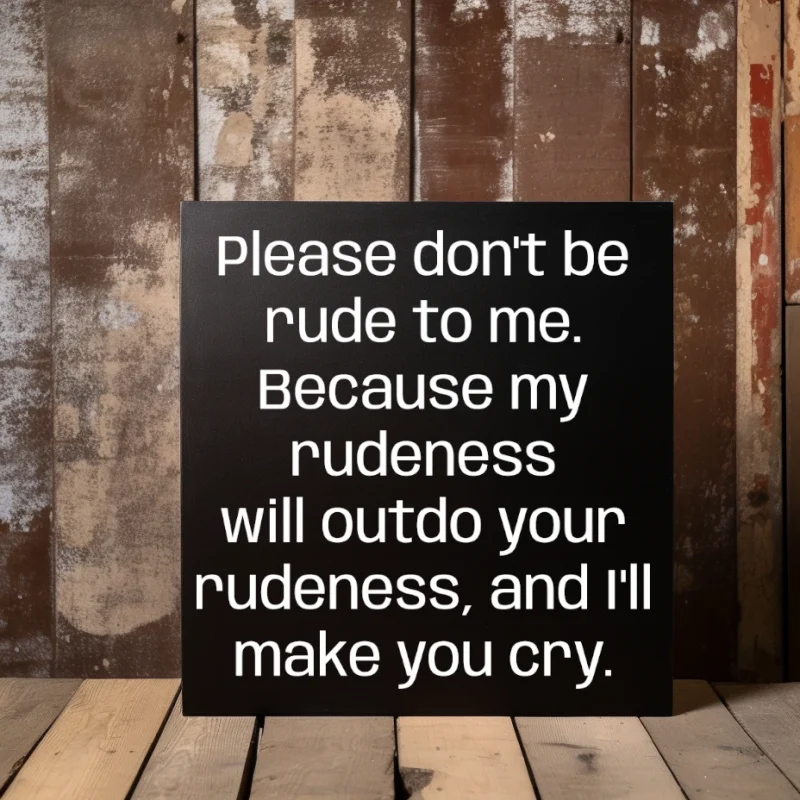Please don't be rude to me. Because my rudeness will outdo your rudeness, and I'll make you cry. Black sign with white lettering.