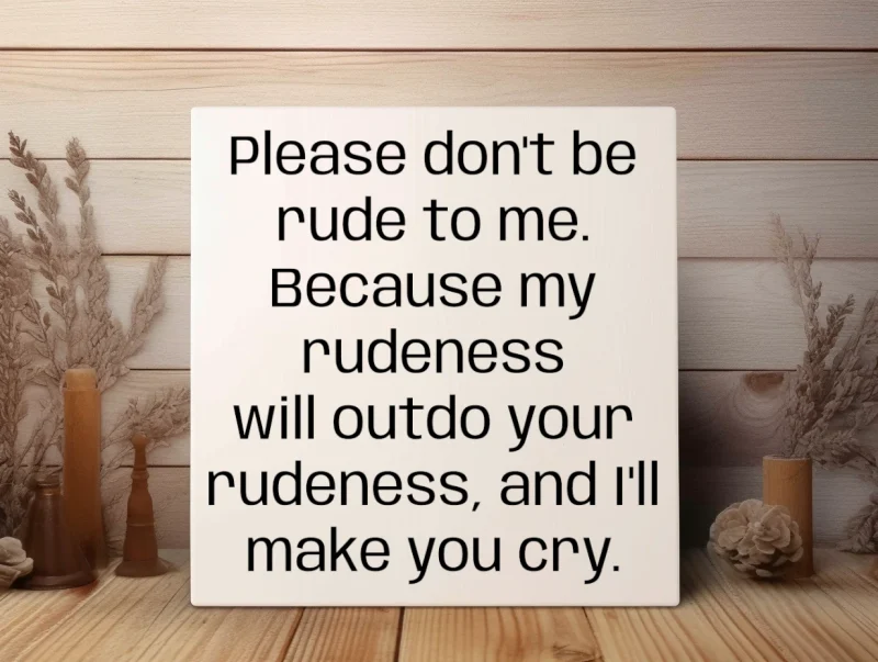 Please don't be rude to me. Because my rudeness will outdo your rudeness, and I'll make you cry. White sign with black lettering.