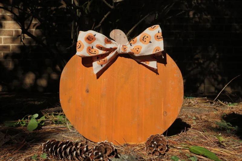 Example of orange pumpkin sign with bow.